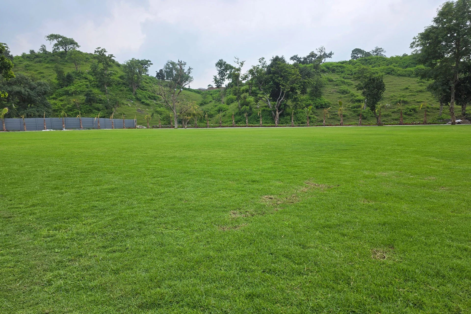 best wedding planner in Kumbhalgarh