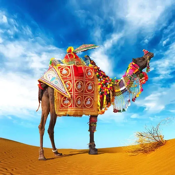 Destination Weddings in Jaisalmer