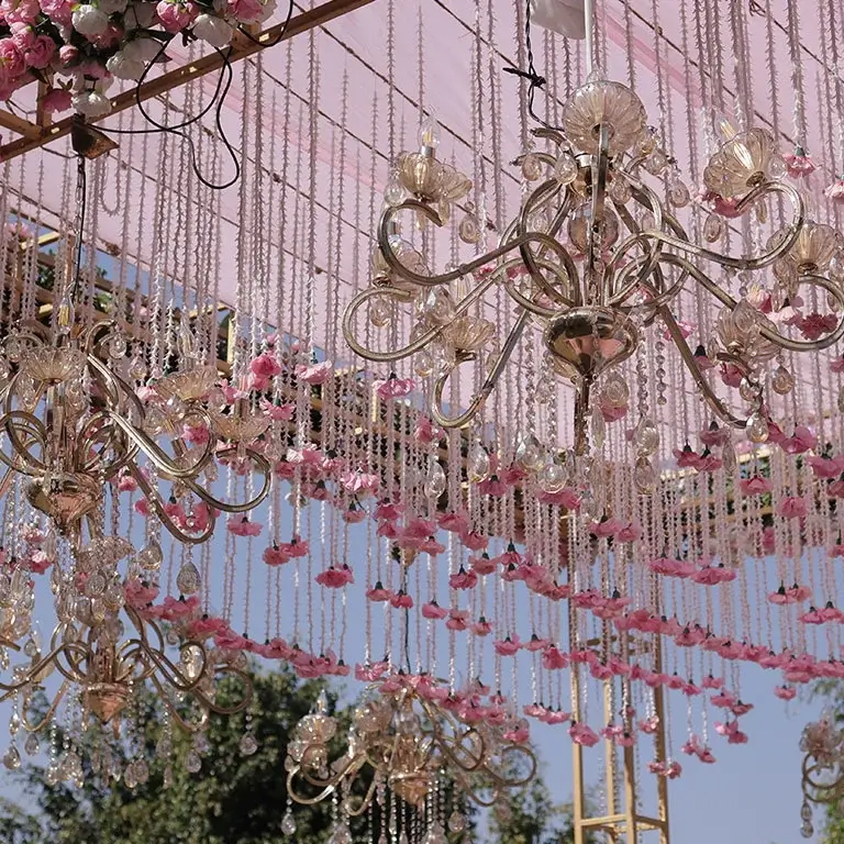 royal wedding in udaipur